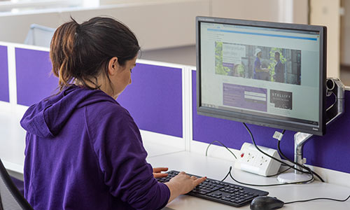A member of Library staff using a PC