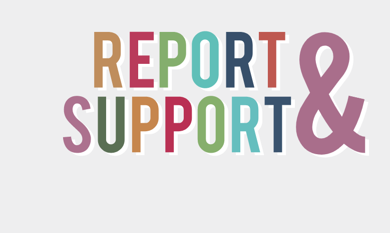report and support redirect