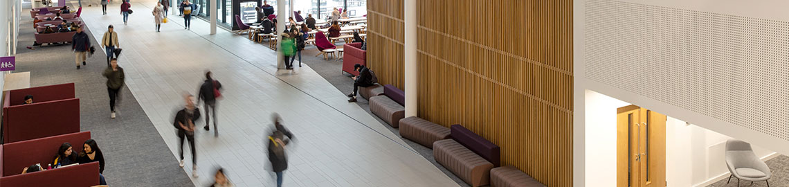 The Hive academic advising banner image