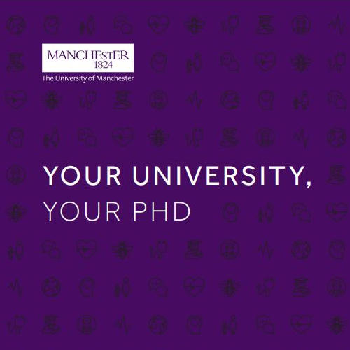 Your Uni, Your PhD