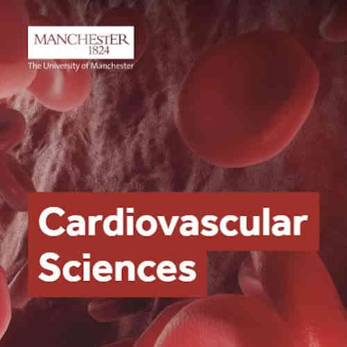 Cardiovascular Sciences insert image