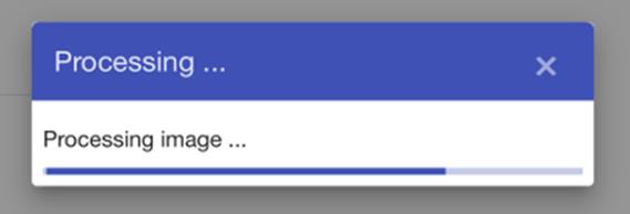 Picture 13 - a Processing message will pop up