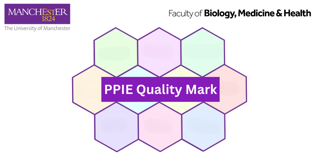 quality mark criteria in the shape of a honeycomb