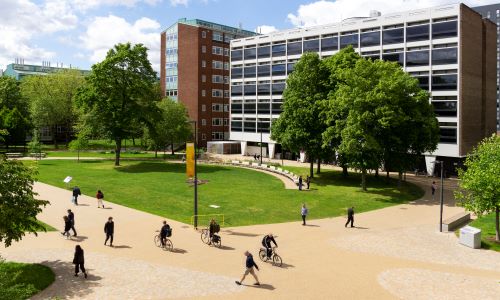 overlooking Roscoe Building