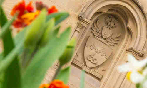 Blossoms and crest on campus