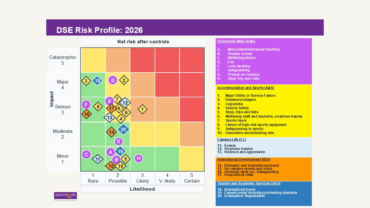 DSE Risk Profile - Health and Safety
