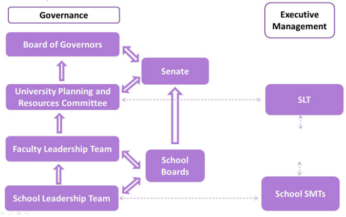 Relationship between governance and management