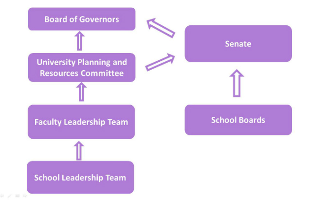 University governance