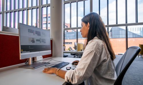 Staff member looking at Library website on a PC