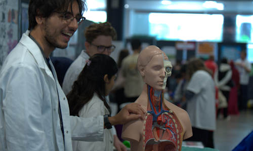 Researcher showing visitors model of human body
