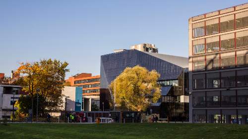 Autumn on campus