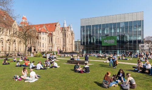 People in groups sitting on grass 