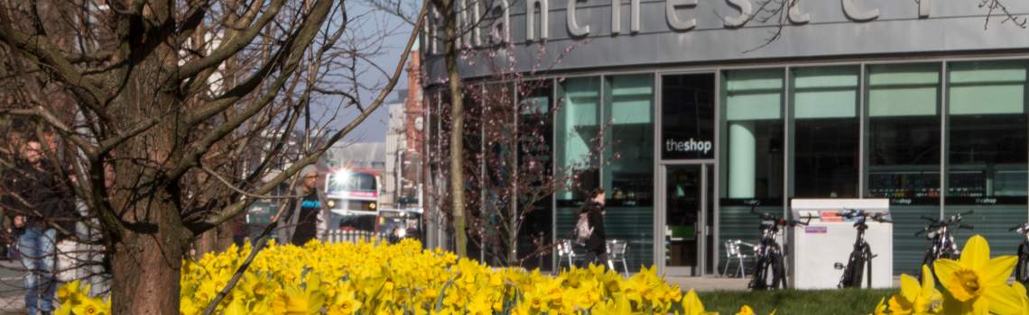 image of sunflowers outside of university place building