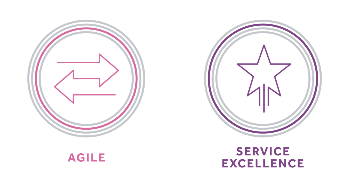 SE and Agile Icons