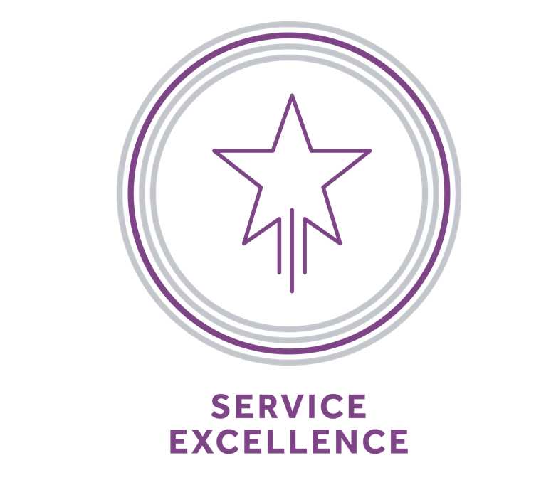 Service Excellence Icon 