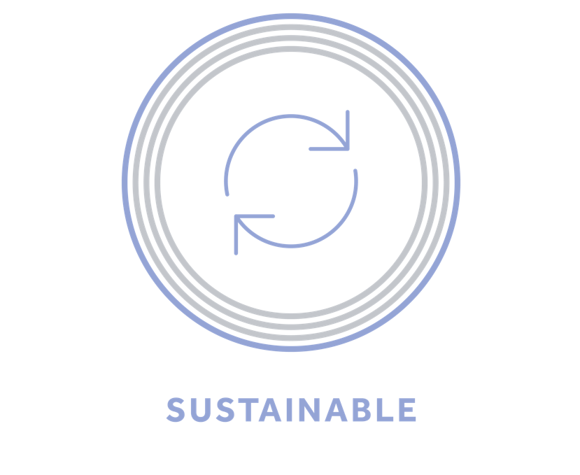 Image of the PS Vision Sustainability