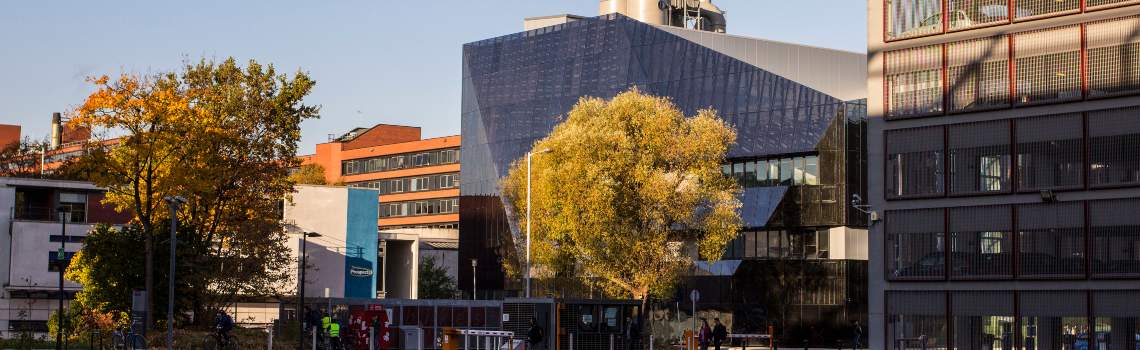 Autumn on campus