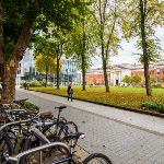 Image of Alan Gilbert Square with trees in background