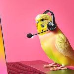 Pink background with yellow bird with a headset on