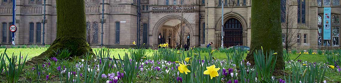 Photo of university arch and flowers