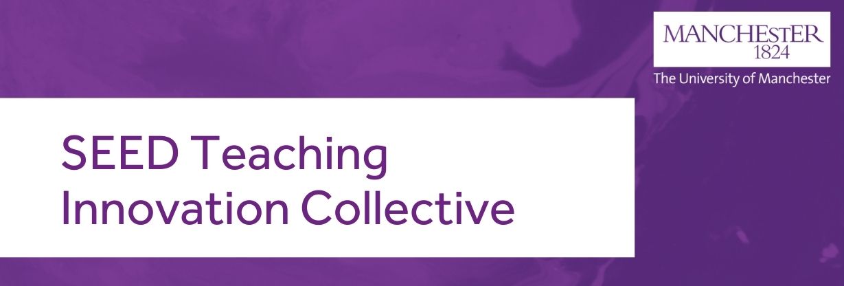 SEED Teaching Innovation Collective