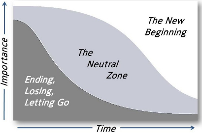 Bridges' Transition Model
